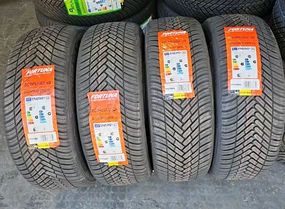 PNEUMATICI AUTO 215/55 R17 98W XL FORTUNA ECOPLUS2 4 STAGIONI M+S - immagine 2