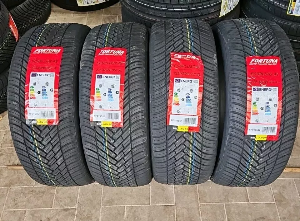 PNEUMATICI AUTO 225/45 ZR18 95Y XL M+S FORTUNA ECOPLUS2 4 STAGIONI - immagine 2